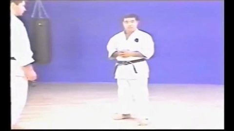 Uke geri (low quality video)