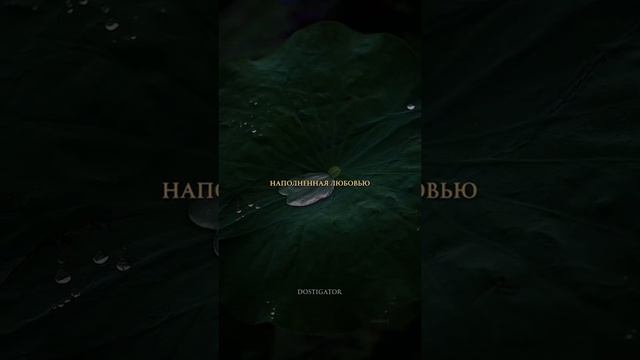 Вода исцеляет
