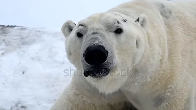 природа