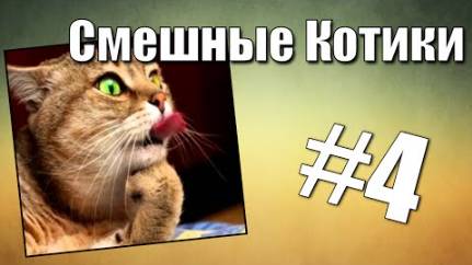 Я ржал до слёз ☆ Самые СМЕШНЫЕ животные ☆ НОВЫЕ Приколы с КОТАМИ и СОБАКАМИ ☆ РЖАКА ☆ Выпуск №4
