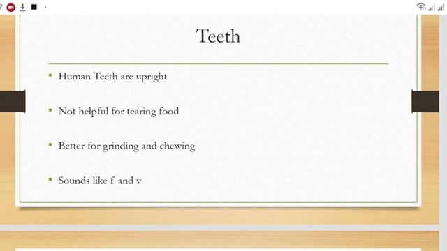 Origin of Language. The Physical adaptation source