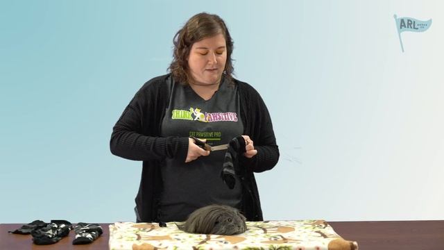 DIY Small Animal Sweater