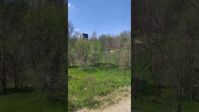 Ростов-на-Дону, жк Гринсайд 17.04.2025