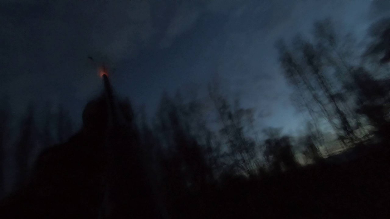 Вальдшнеп, очередная вечёрка.
