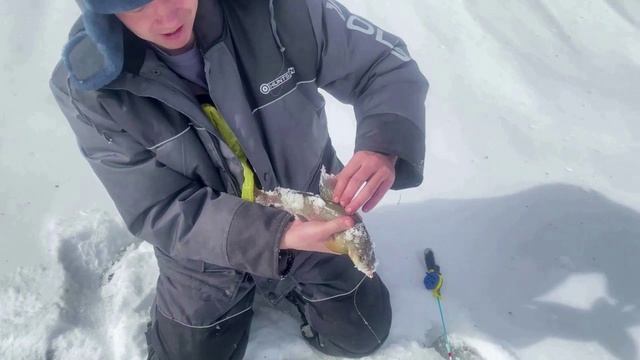 Поездка на север в горную речку 2 серия