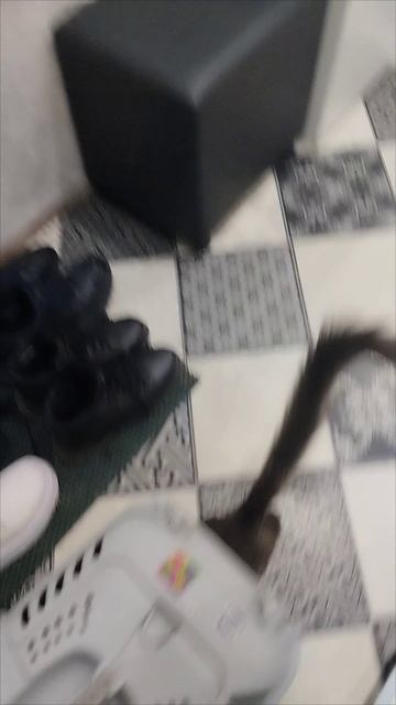 ПОЕХАЛИ