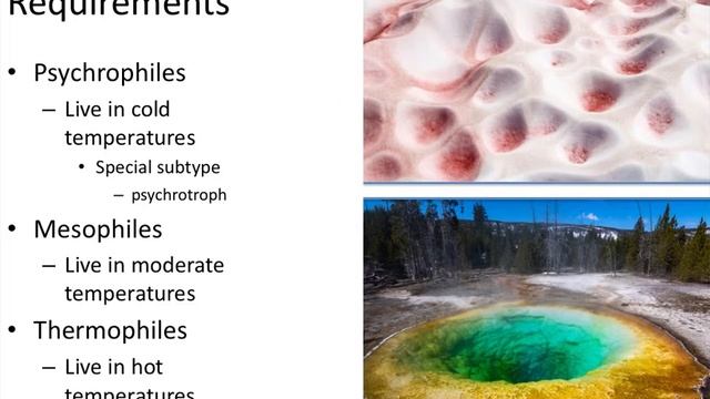 Microbial Growth Nutrition--Chapter 10