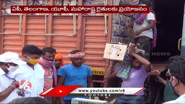 APEDA Green Signal To Mango Exports From India To America | V6 News