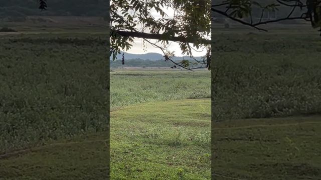 Летные испытания оптоволоконного FPV дрона | HS Air Force🔍
