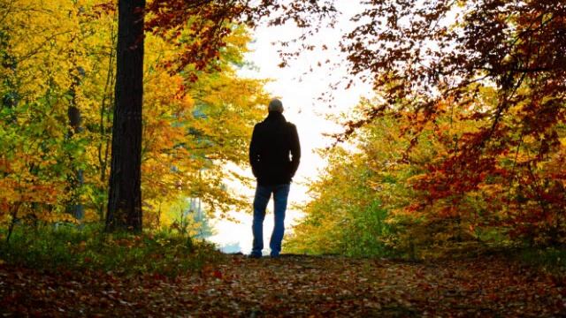 ### Догорал осенний вечер. ..