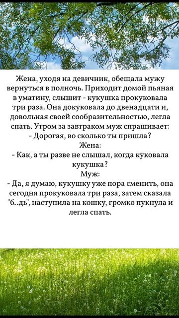 Пьяная жена#анекдоты #приколы#шутки#веселые анекдоты#юмор