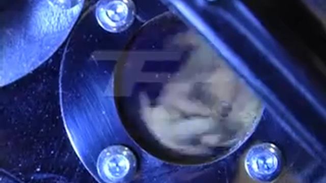 Teletutto - Speciale: La vittoria in un chicco di caffè 2015