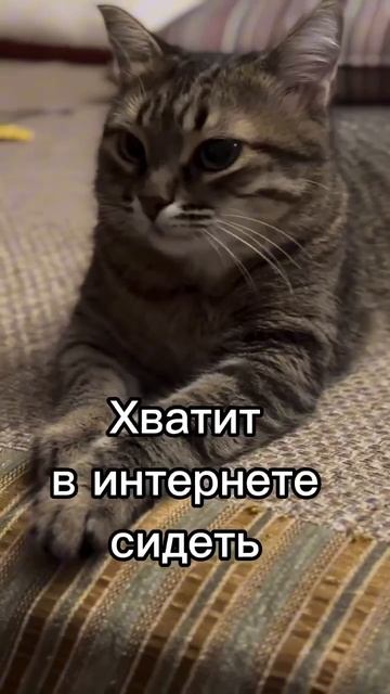 СПАТЬ ИДИ