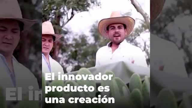 México | Así es el cuero ecológico de cactus que arrasa en la industria de la moda