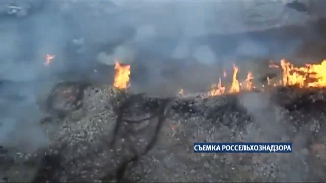 «Журнал происшествий»: печальное в Забавном и весенний крышепад