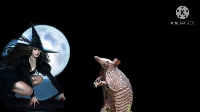 CARAMBOLA, FRUTA AMARELA