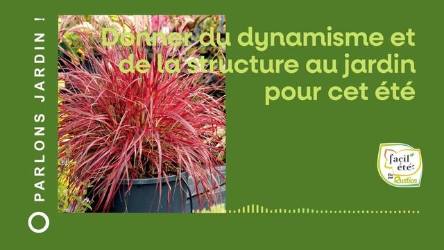 Donner du dynamisme et de la structure au jardin pour cet été