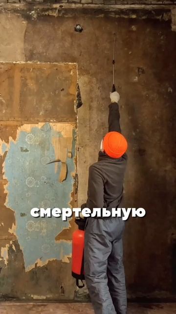 борьба с черной плесенью #ремонт #ремонтвдоме #своимируками #стройка #частныедома