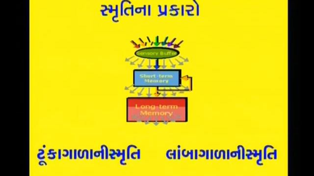 memory and memory development programmes 1