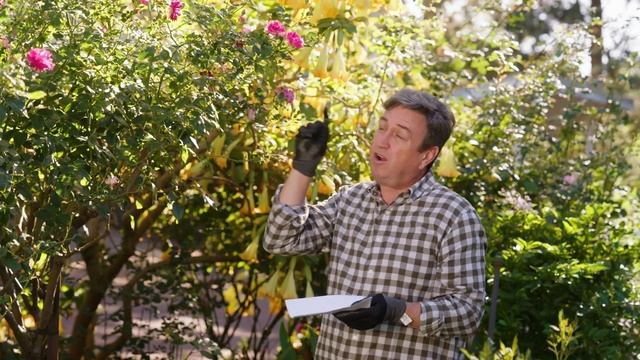 The Garden Gurus - Protect Your Plants Against Pests
