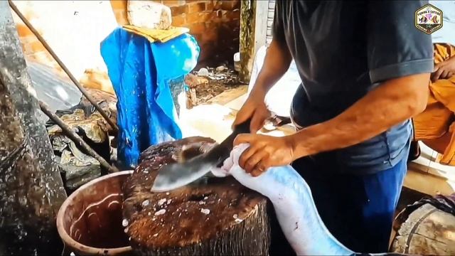 Giant Live Eel Fish Cutting And Cleaning Skills | Amazing Moray Eel Wonderful Fish Cutting #fc