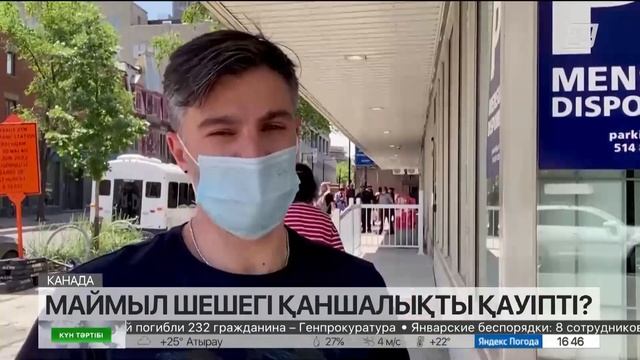 Маймыл шешегі қаншалықты қауіпті?