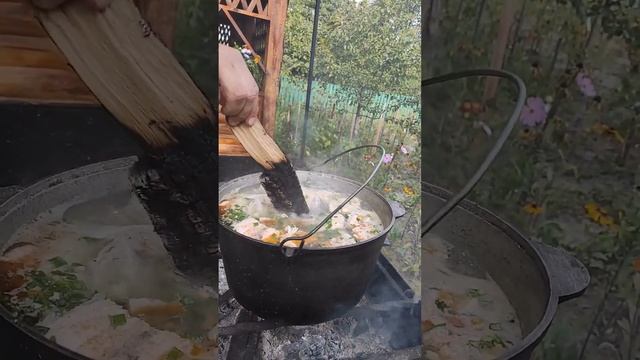 уха на костре по домашнему