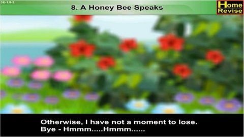 Class 3 I A Honey Bee Speaks | English | English Medium | Maharashtra Board | Home Revise