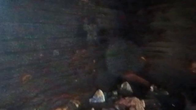 СГОРЕВШИЙ 🔥ДОМ И ЕГО ОБИТАТЕЛИ
