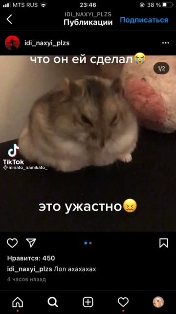 Девочка убила хомяка канцелярским ножом