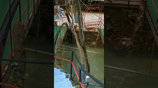 Video.Guru_20250416_202020536.mp4