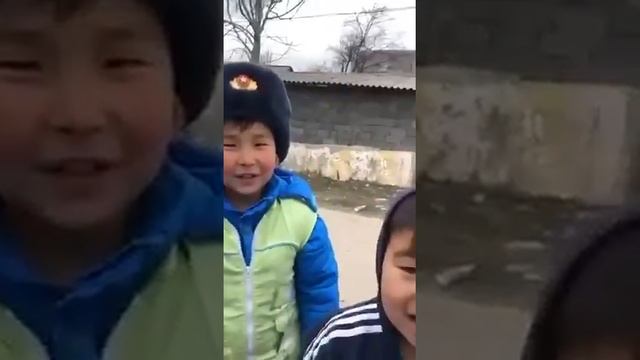 Кичик гаилар ҳайдовчидан пора олмади