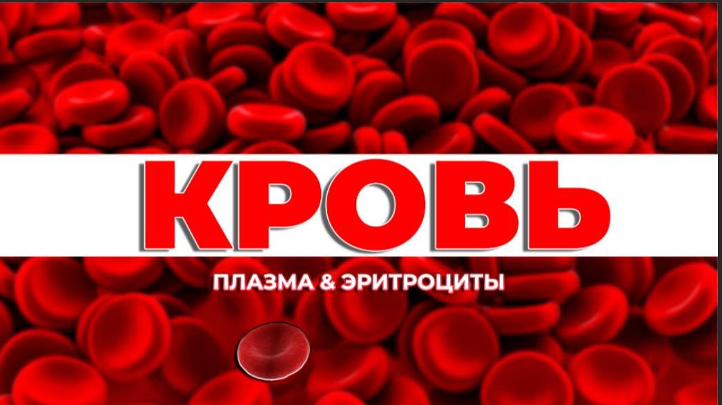 Кровь: Что у нас внутри? (Часть 1: Плазма и эритроциты)