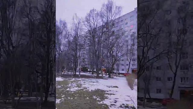 Moscow, Bibirevo district 12.04.2025