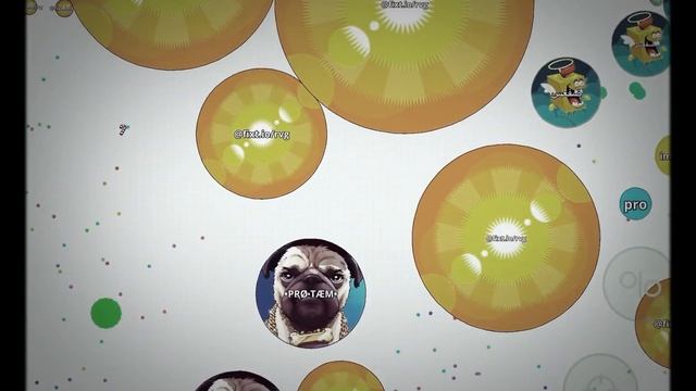 Играю в Agar.io нашла друга SOLO)))