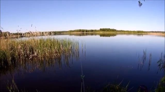 рыбалка