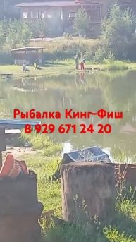 Карп отлично ловится