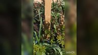 середина апреля.