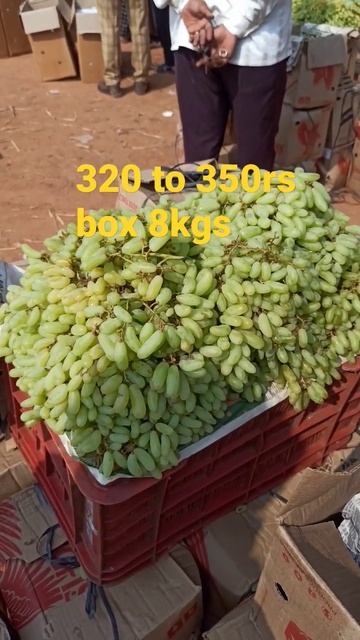 Today grapes rate in new fruit market hyderabad. #grapesratetoday.