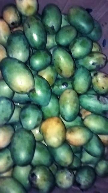 lots of lichi and lots  of mangos 🫒🫒🥭🥭
