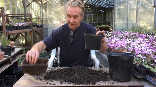 How to grow oak trees from acorns part 1. Stinky Ditch Nursery end of September ‘20
