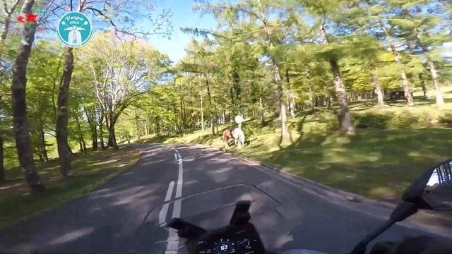 Las Vespas y una @WottanMotorOficial de ruta por Peñas de Aia
