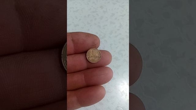 Первый коп 2025 года.