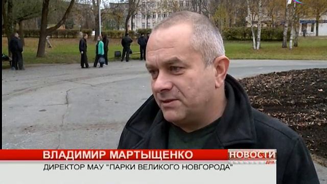 В новгородском парке «30 лет Октября» сегодня высадили ель