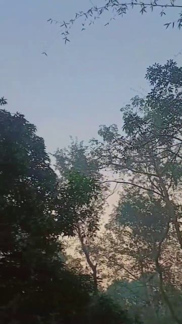 sunrise scene