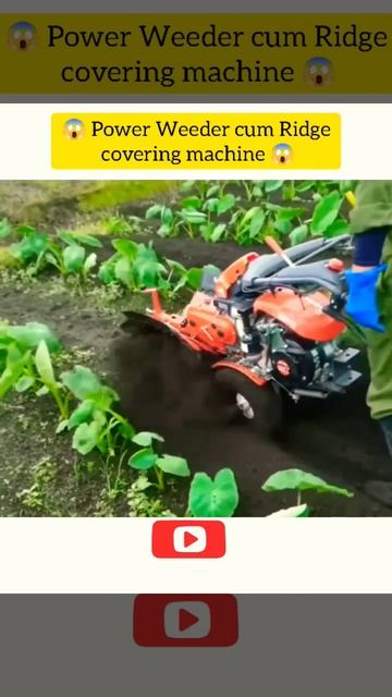 😱 अरबी फसल की खेती की Power Weeder cum Ridge covering #machine 😱 #shorts #taroroot