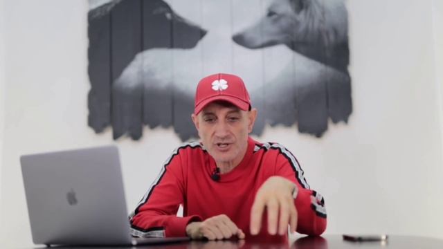 Как отучить собаку трогать  ваши вещи