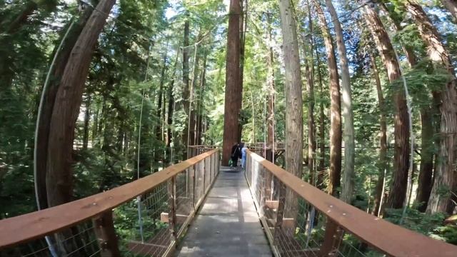 🇺🇸A MUST VISIT PLACE IN EUREKA SEQUIOA PARK & ZOO