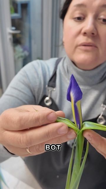 Как помочь ирисам раскрыться? #урокифлористики #цветы #flowers