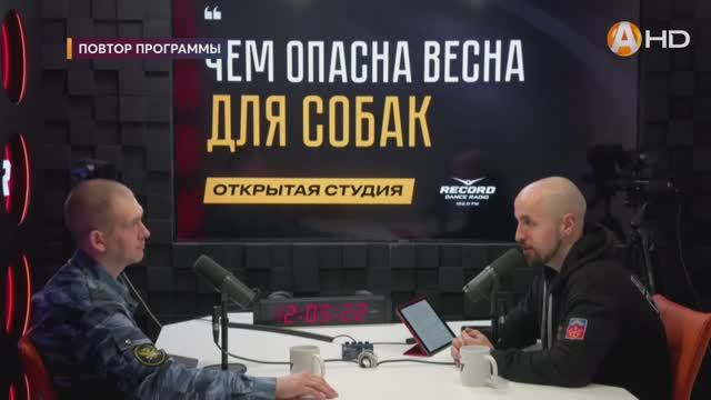 Дмитрий Васильев: чем опасна весна для собак